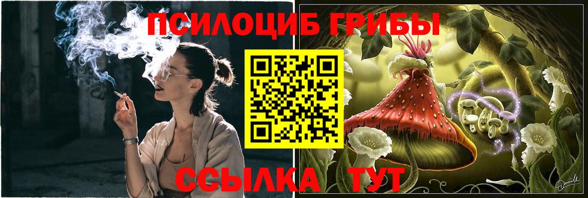 Магадан  Галлюциногенные грибы мицелий  Вход с VPN 
