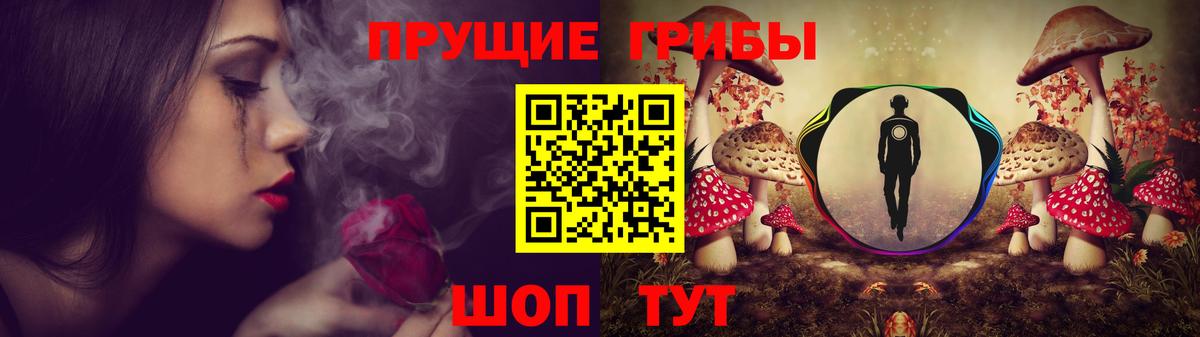 Псилоцибиновые грибы Psilocybe Магадан